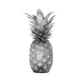 thumbnail image 3 of Bennett, Kate 19x24 Black Modern Framed Museum Art Print Titled - Pineapple Gray I, 3 of 5