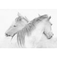 thumbnail image 2 of Stas, Marie-Anne 18x14 Black Ornate Wood Framed with Double Matting Museum Art Print Titled - Horses, 2 of 4