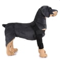 thumbnail image 2 of Soporte de pierna de perro Colco Accesorios de Mascota Duradero M, 2 of 8
