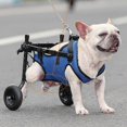 thumbnail image 3 of Dog Wheelchair, Dog Wheelchair For Back Legs, Adjustable Dog Wheelchairs Hind Leg, Mobility For Disabled Pets, 3 of 5