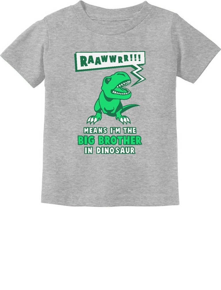 Big Brother Shirt Dinosaur Trex Big Brother Gift Toddler Infant Kids T-Shirt