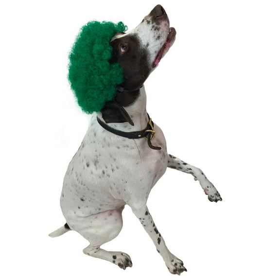 HPO Multiple Color Options Pet Curly Wig, Perfect for Pet Cosplay Wigs for Halloween, Fire-Retardant Halloween Wig