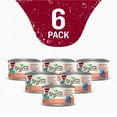 thumbnail image 3 of Purina Beyond, Grain-Free Wild Alaskan Salmon & Sweet Potato, Wet Cat Food, 3 oz, 6 Pack, 3 of 11