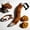 Brown and white, variant on 4Pcs Therian Cat Fox Mask and Tail Paws Neck Chocker Set,Furry Anime Fox Wolf Mask with Leather Choker and Faux Fur Tail for Halloween Cosplay Party