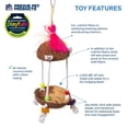 thumbnail image 3 of Bird Toy PH Prevue Hendryx Forage & Engage Tropical teasers, 3 of 7