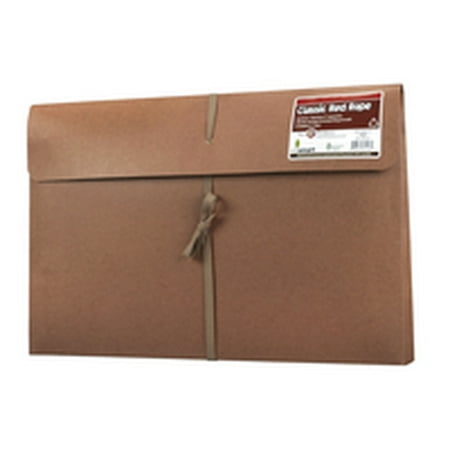 Profolio Art - Star Products Cloth Tie Tape Art Portfolio, 10 x 15 x 2 Inches