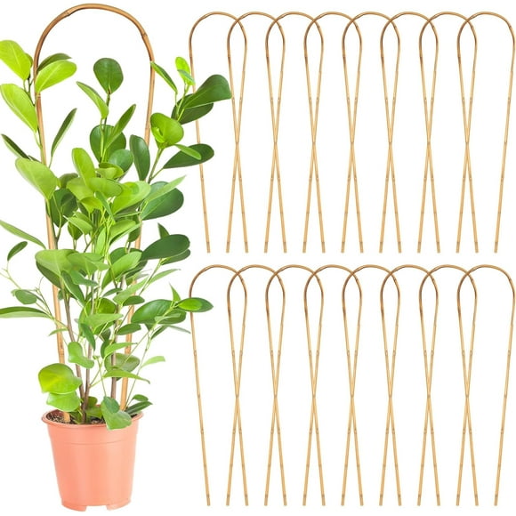 GHSDFBB 10 Pcs Natural U-Hoops Bamboo Trellis Garden Arch Trellis Natural U Shape Bamboo Plant Trellis Plant Support Vines Ivy Plants Flower Tower for Climbing Potted Plants Indoor Outdoor,3