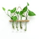 thumbnail image 2 of Florero colgante de tubos de ensayo perfecl Marron oscuro, 2 of 8