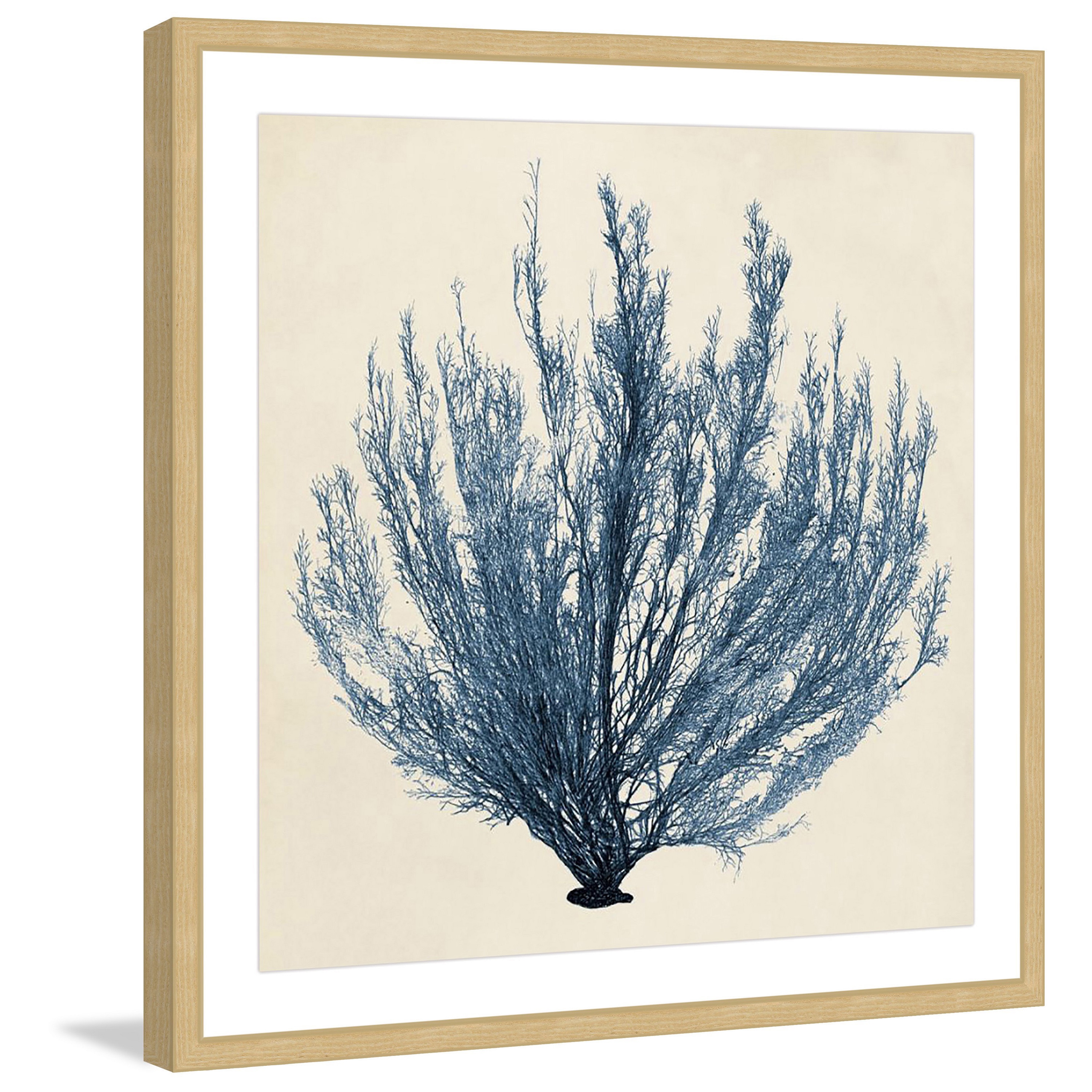 Marmont Hill "Coastal Seaweed III" Framed Painting Print