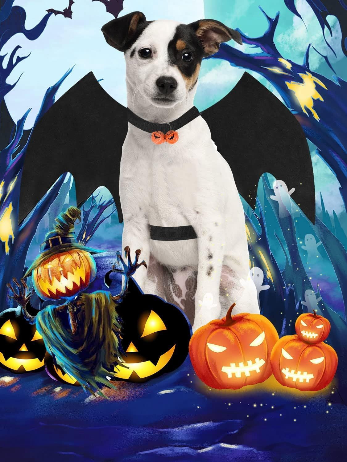 Pet Bat Wing Costume with Adjustable Velcro Straps for Dogs and Cats Halloween Party Cosplay