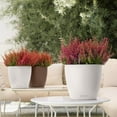 thumbnail image 2 of Lechuza Classico Self-Watering Polypropylene Indoor/Outdoor Planter, 2 of 7
