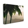 thumbnail image 3 of Stupell Industries Palm Trees At Sunrise Mountain Range Photograph Gallery Wrapped Canvas Print Wall Art, Design by Dennis Frates, 3 of 7