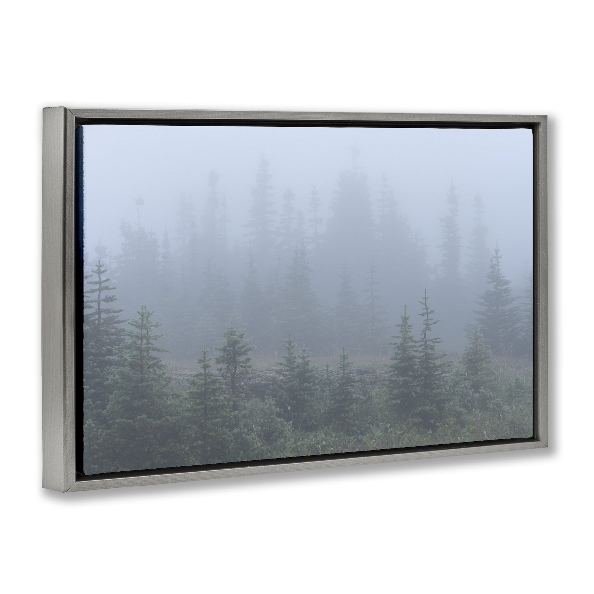 Stupell Industries Foggy Forest Trees Landscape Photography Gray Floater Framed Art Print Wall Art, 25 x 17