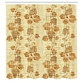 thumbnail image 3 of Ambesonne Egypt Shower Curtain, Papyrus Antique, 69"Wx75"L, Cream, 3 of 5