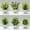 E, variant on 4pcs/set, Small Fake Plants In White Planters, Artificial Plants For Home Decor Indoor, Plastic  Plants For Office Desk Bathroom Bedroom Greenery Decoration