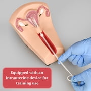 Intrauterine Device Training Kit