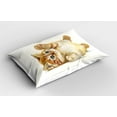 thumbnail image 2 of Ambesonne Animal Pillow Sham 2 Pack, Cat Playing with Feather, 30"x20", Apricot Cream White, 2 of 3
