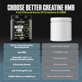 thumbnail image 2 of NutraBio Creatine + HMB- Creatine Monohydrate with HMB Powder for Muscle Growth, Increased Strength- 30 Servings (Unflavored), 2 of 8