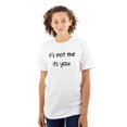 thumbnail image 3 of Funny It's Not Me It's You Joke Men's Graphic T Shirt Tees Brisco Brands S, 3 of 6