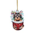 thumbnail image 1 of 1pc Christmas Acrylic Christmas Stockings For Dogs Decorations Christmas Tree Decorations Crafts Hanging Decorations, 1 of 9