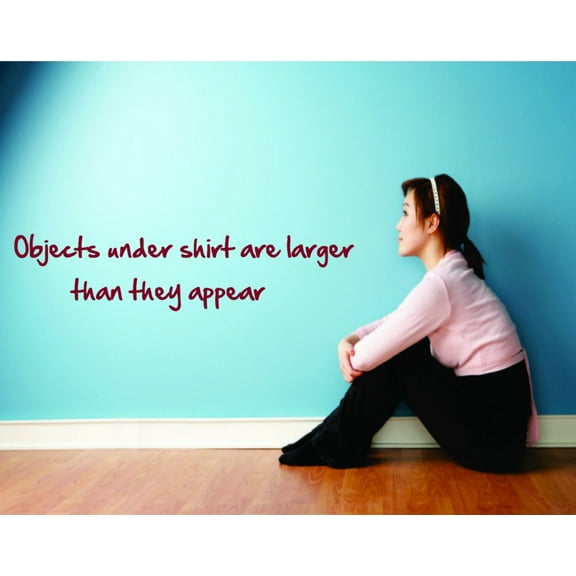 Wall Design Pieces Objects Under Shirt Quotes Humor Funny 4 X 16 Inches