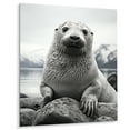 thumbnail image 2 of Designart "Arctic Seal Alaska " Animals Metal Art Print, 2 of 5