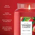thumbnail image 3 of Yankee Candle Macintosh Original Large Jar Scented Candles, 22 oz, 3 of 7