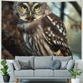 thumbnail image 4 of Orinice Owl Tree Branch Nature Tapestry Wall Hanging Unique Style Graphic Tapestries Home Decor Living Room Bedroom Apartment Dorm Farmhouse 40x30inch, 4 of 6