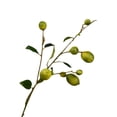 thumbnail image 2 of Ramas Artificiales de Limón Plantas Verdes de Simulación Vívida para Centros de Mesa de Cocina Decoraciones de Fiesta ANGGREK Otros, 2 of 8