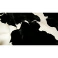 thumbnail image 3 of Natural Calfskin Throw Rug 2x3 Black White Classic 1 Piece, 3 of 4