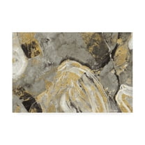 Trademark Fine Art 'Painted Desert Phoenix Neutral' Canvas Art by Albena Hristova