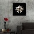thumbnail image 5 of Epic Art 'All White' by Photoinc Studio, Acrylic Glass Wall Art, 24"x24", 5 of 8