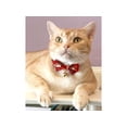 thumbnail image 5 of Necoichi Kimono Bow Tie Cat Collar (Red), 5 of 5
