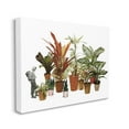 thumbnail image 3 of Stupell Industries Varied Terracotta Potted House Plants Floral Person Collage Canvas Wall Art, 20 x 16, Design by Cassia Beck, 3 of 5