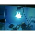 thumbnail image 5 of Lampe UVB pour Tortue Reptile, Ampoules Tortue Écoénergétiques Lampe de Terrarium Compacte pour Reptiles du Désert Serpent/lézard/insecte/léopard Tube en Spirale (UVB2.0 13W), 5 of 5