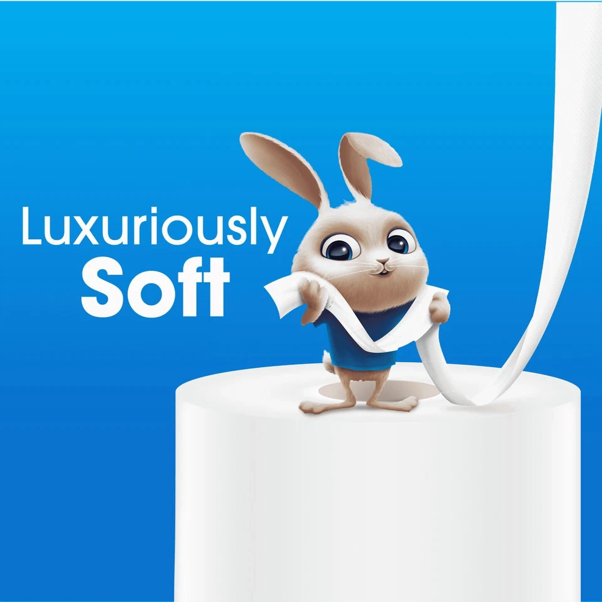 Ultra Soft Toilet Paper 12 Mega Rolls 244 Sheets 2 Ply Bathroom Toilet Paper