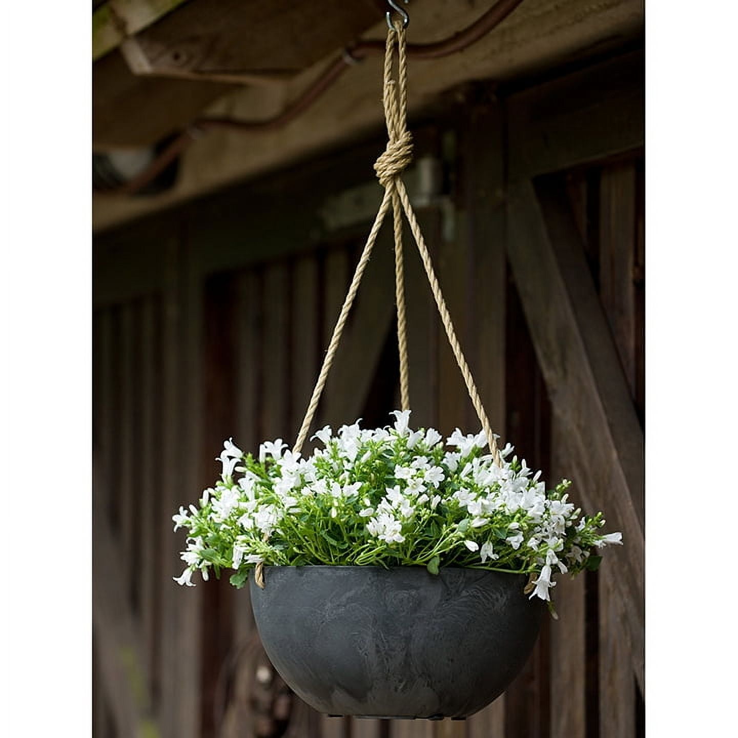 Root & Vessel Napa Hanging Bowl Planter, Black, 12"