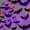 Black, Blue, Multicolor, Purple, variant on DUHKP 36 Pack Light Up Bats Halloween Decorations, Orange | 3D Stereoscopic Design, Removable Bat Wall Stickers, for Indoor Outdoor Windows & Home Parties
