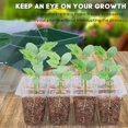 thumbnail image 4 of Seedling Tray, Bottom Drainage Holes Plant Germination Trays  For Home, 4 of 7