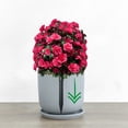 thumbnail image 3 of Meiiso Artificial Azalea Ground Insert Rose Red Household Imitation, Artificial Boxwood Topiary Trees with Ground Faux Outdoor Shrubs & Bushes for Porch Garden Front Yard Decor Indoor/Outdoor Plants, 3 of 6