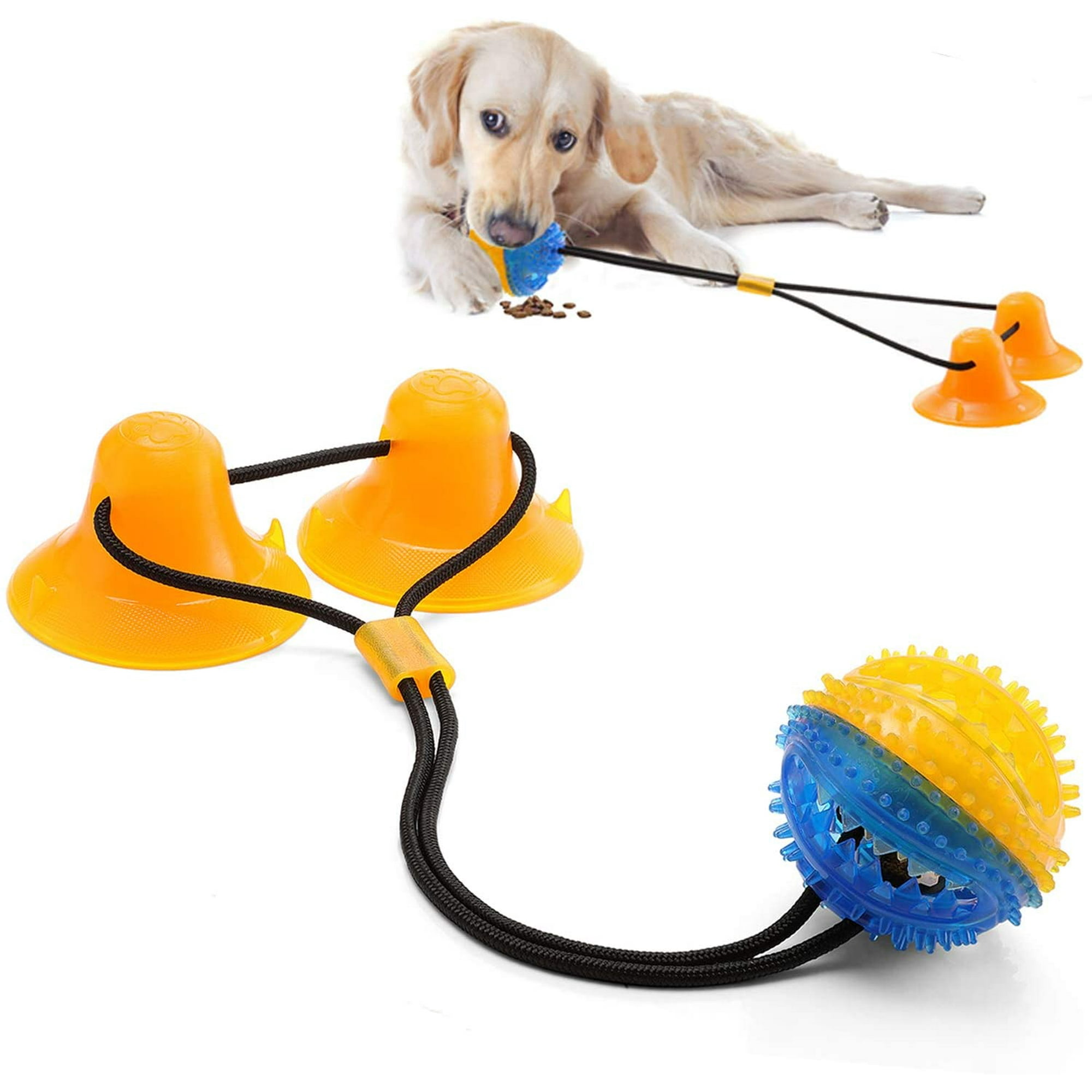 Dog toy suction to floor hotsell