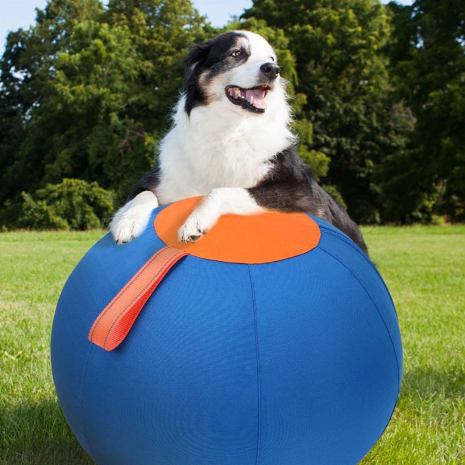 Herding Ball, Herding Ball for Dogs, Extra-Large Enrichment Ball — Tear-Resistant, Includes Protective Cover and Air Pump, Available in Three Sizes to Suit All Dogs,Blue & Orange,9.8"