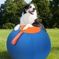 thumbnail image 6 of Herding Ball, Herding Ball for Dogs, Extra-Large Enrichment Ball — Tear-Resistant, Includes Protective Cover and Air Pump, Available in Three Sizes to Suit All Dogs,Orange,9.8", 6 of 9