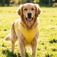 thumbnail image 3 of Sleeveless Dog Tank Top Soft Breathable Cotton Pet Vest Pullover Summer Clothes for Small Medium Large Dogs Cats Multiple Colors Available, 3 of 4