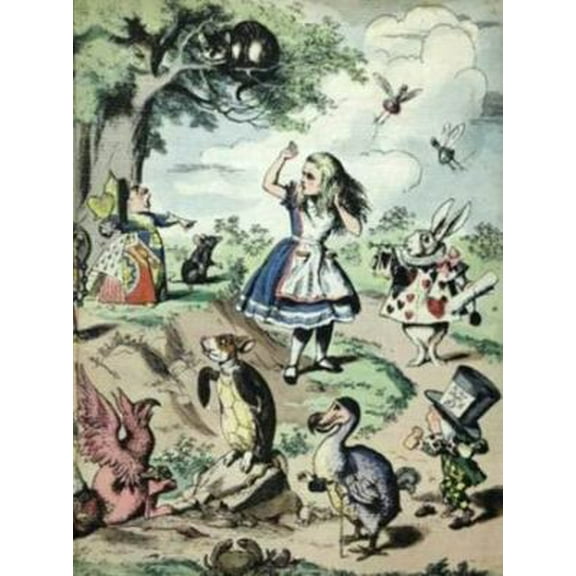 Pre-Owned Alice in Wonderland and Through the Looking Glass (Illustrated Junior Library) (Hardcover) 0448060043 9780448060040