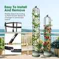thumbnail image 6 of 2 Pcs Garden Trellis for Climbing Plants, 6.2 Ft Rustproof Metal Pipe with Heavy Duty Plastic Coated, Garden Outdoor Indoor Potted Plant Support, Obelisk Garden Trellis for Climbing Vine, 6 of 9