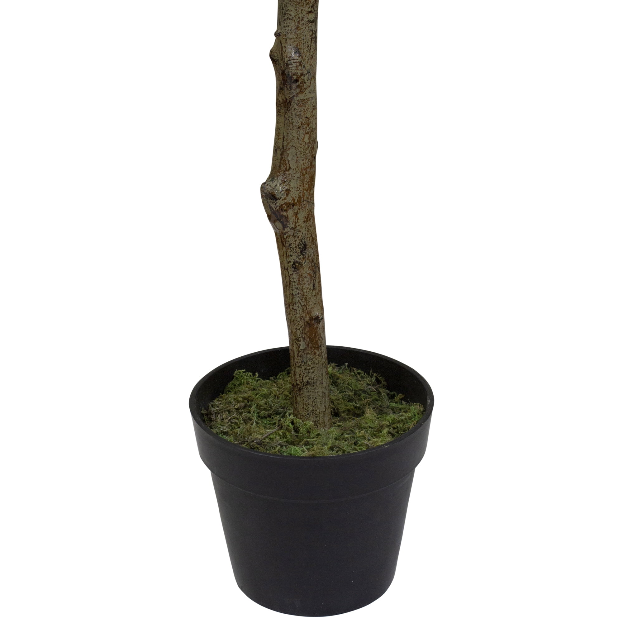 57" Potted Green and Yellow Artificial Lemon Tree