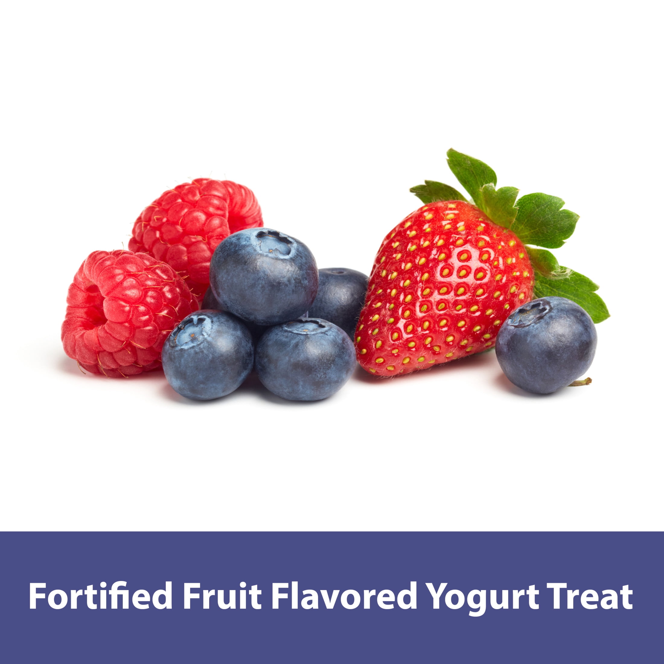 Kaytee Forti-Diet Yo Chips Rabbit/Guinea Pig Berry Flavored Treat, 3.5 oz.
