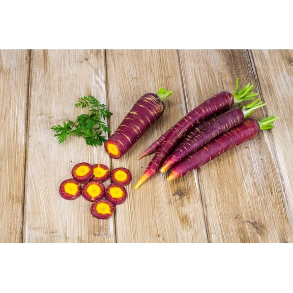 Purple Star Carrot Seeds for Planting - 100 Seeds