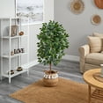thumbnail image 4 of Nearly Natural 4ft. Artificial Ficus Tree with Handmade Jute & Cotton Basket with Tassels, Green, 4 of 4